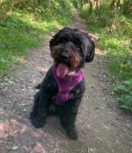 Annie